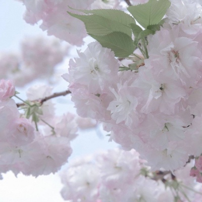 兽设色彩渐变技巧福瑞交流群